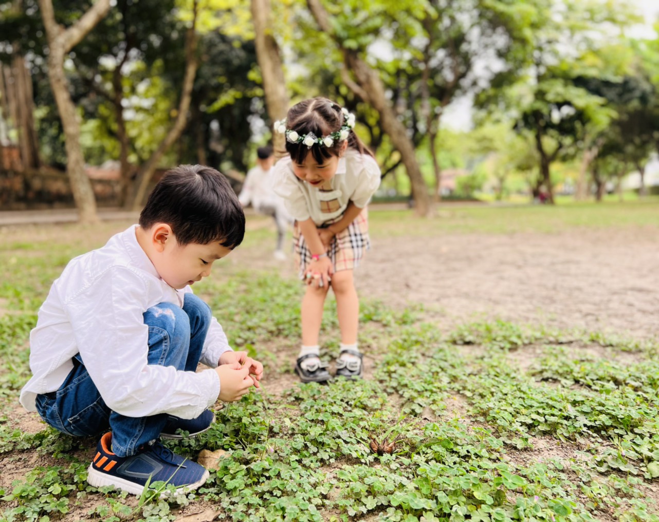 Tổ chức các hoạt động trải nghiệm giáo dục Steam