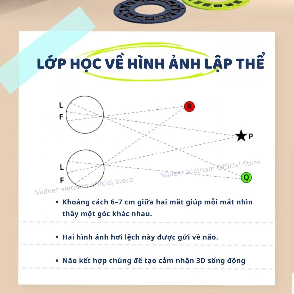 Kính 3D Mideer kính quang học