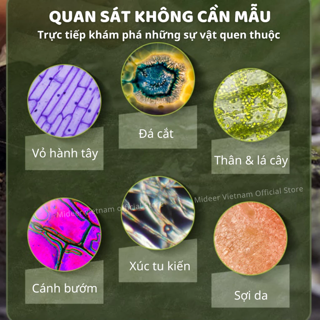 Kính hiển vi mini cho bé